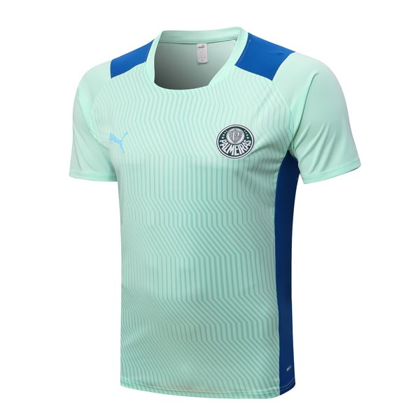 Camiseta Entrenamien Palmeiras 2022 2023 Verde